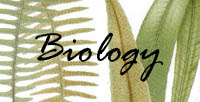 Biology image